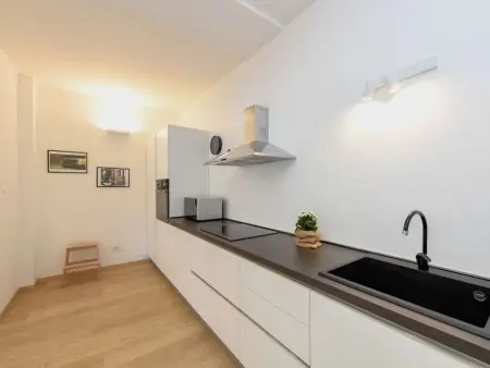 DesenzanoLoft - Der Riese vom See, Appartement 9 personnes à Desenzano - Photo 10