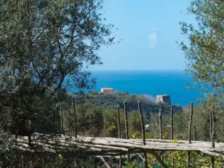Villa le Olivine Less then 5 min to Sorrento, Appartement 6 personnes à Sorrento - Photo 13