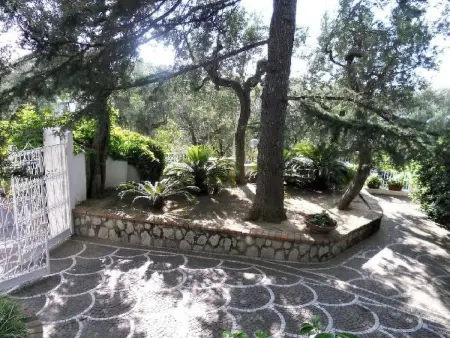 Villa le Olivine Less then 5 min to Sorrento, Appartement 6 personnes à Sorrento - Photo 14