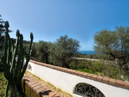 Villa le Olivine Less then 5 min to Sorrento, Appartement 6 personnes à Sorrento - Photo 19