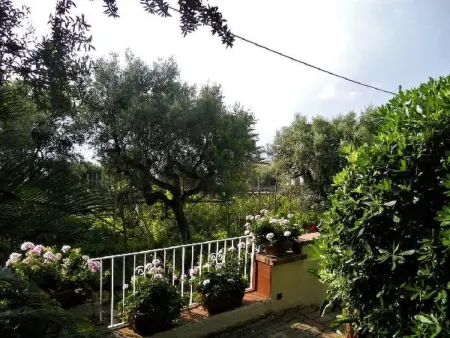 Villa le Olivine Less then 5 min to Sorrento, Appartement 6 personnes à Sorrento - Photo 56