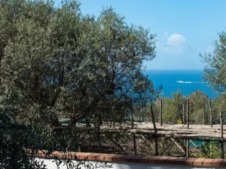 Villa le Olivine Less then 5 min to Sorrento, Appartement 6 personnes à Sorrento - Photo 57