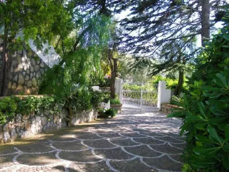 Villa le Olivine Less then 5 min to Sorrento, Appartement 6 personnes à Sorrento - Photo 60
