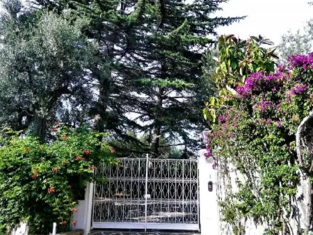 Villa le Olivine Less then 5 min to Sorrento, Appartement 6 personnes à Sorrento - Photo 65