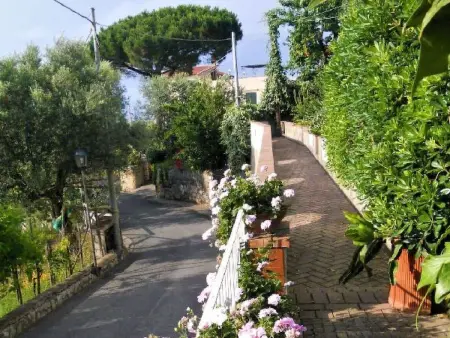 Villa le Olivine Less then 5 min to Sorrento, Appartement 6 personnes à Sorrento - Photo 66