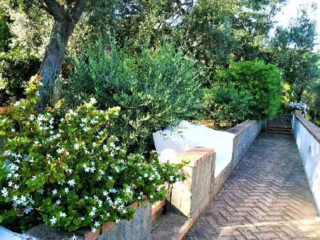 Villa le Olivine Less then 5 min to Sorrento, Appartement 6 personnes à Sorrento - Photo 67