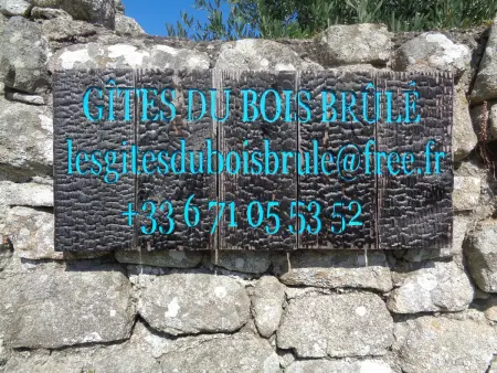 Gîte chaleureux entre Terre et Mer à Guérande avec Wifi et animaux admis - Photo 13