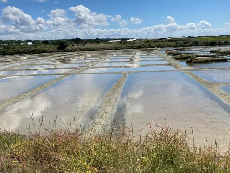 Gîte chaleureux entre Terre et Mer à Guérande avec Wifi et animaux admis - Photo 15