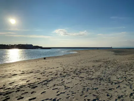 Gîte chaleureux entre Terre et Mer à Guérande avec Wifi et animaux admis - Photo 18