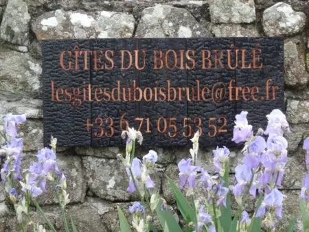 Gîte en Bois entre Terre et Mer à Guérande, Gite 5 personnes à Guérande - Photo 11