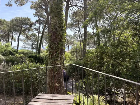 Villa d'architecte, proximité plage - 9 pers., Villa 9 personnes à Lège Cap Ferret Le Cap Ferret - Photo 4
