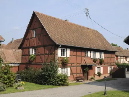 Gîte au charme Alsacien proche Colmar - 6 pers. - Photo 23