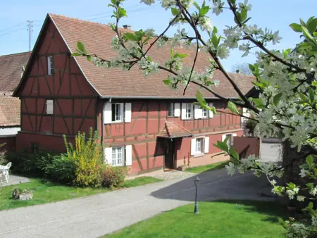 Gîte au charme Alsacien proche Colmar - 6 pers. - Photo 24