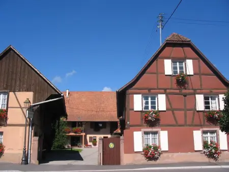 Gîte au charme Alsacien proche Colmar - 6 pers. - Photo 27