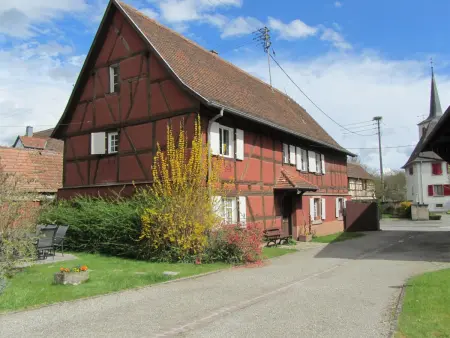 Gîte au charme Alsacien proche Colmar - 6 pers. - Photo 28
