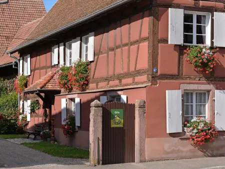 Gîte au charme Alsacien proche Colmar - 6 pers. - Photo 29