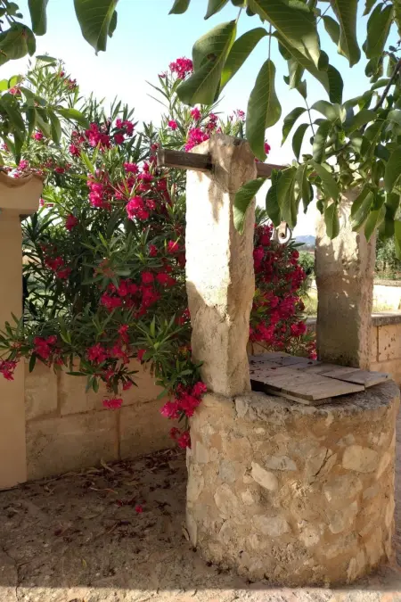 in Manacor mit Privatem Pool, Maison 2 personnes à Manacor - Photo 8