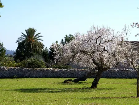 Finca  Son Pereto  mit privatem Pool, Maison 10 personnes à Sant Llorenç des Cardassar - Photo 23