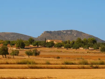 Finca  Son Pereto  mit privatem Pool, Maison 10 personnes à Sant Llorenç des Cardassar - Photo 24