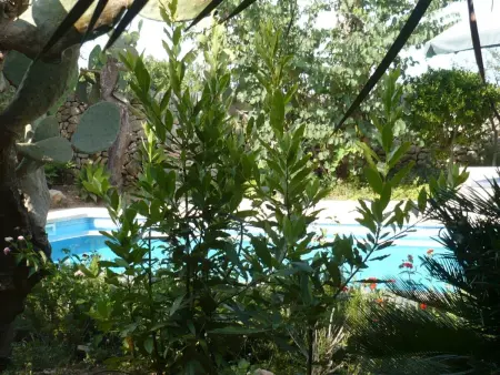 Finca  Son Pereto  mit privatem Pool, Maison 10 personnes à Sant Llorenç des Cardassar - Photo 37