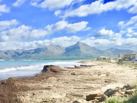 Strandvilla Beach and Ocean in Son Serra De Mari - Photo 35