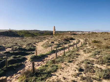 Strandvilla Beach and Ocean in Son Serra De Mari - Photo 38