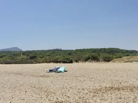 Strandvilla Beach and Ocean in Son Serra De Mari - Photo 39