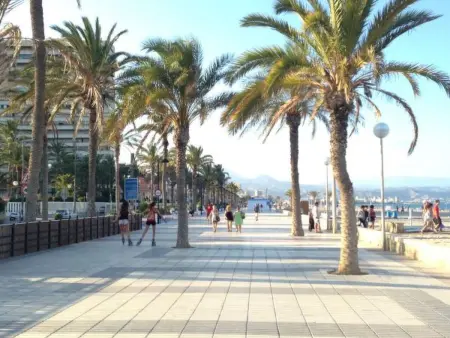 ESTUDIO PLAYA MUCHAVISTA, Appartement 2 personnes à El Campello Villajoyosa - Photo 30