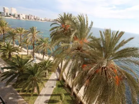 APARTAMENTO VORAMAR, Appartement 5 personnes à Alicante - Photo 7