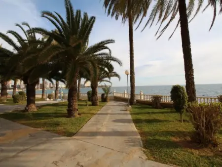 APARTAMENTO VORAMAR, Appartement 5 personnes à Alicante - Photo 33