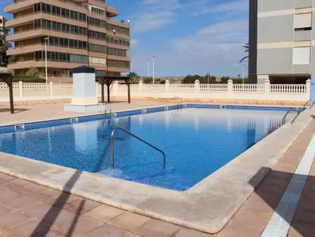 Appartement 6 personnes à Alicante Elche Crevillente - Photo 6