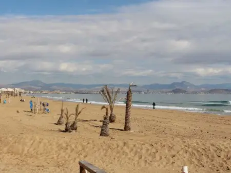 Appartement 6 personnes à Alicante Elche Crevillente - Photo 12
