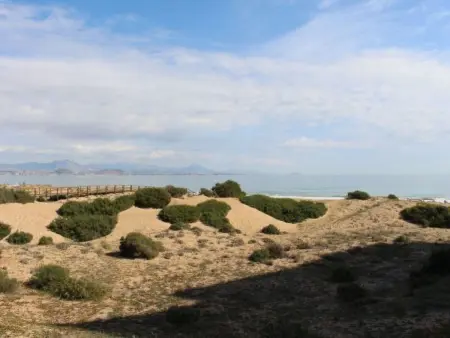 Appartement 6 personnes à Alicante Elche Crevillente - Photo 13