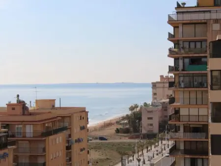 Appartement 6 personnes à Alicante Elche Crevillente - Photo 19