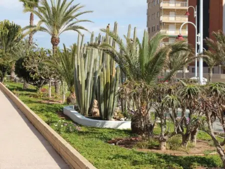 Appartement 6 personnes à Alicante Elche Crevillente - Photo 20
