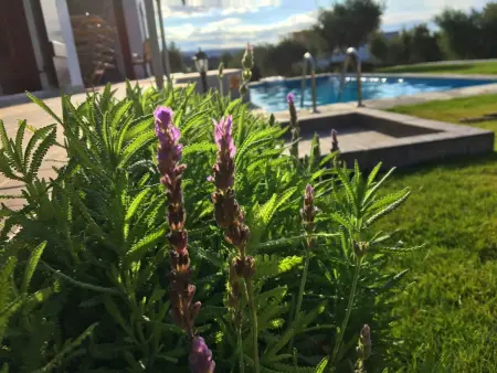 Villa Kyria Kreta, Maison 8 personnes à Adele - Photo 5