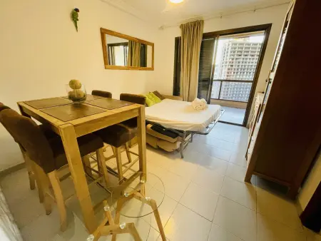 Confort T1 avec Terrasse et Animaux bienvenus à Benidorm - Photo 6