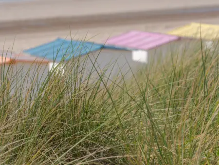 High in the sky with amazing views, Appartement 2 personnes à De Haan - Photo 17