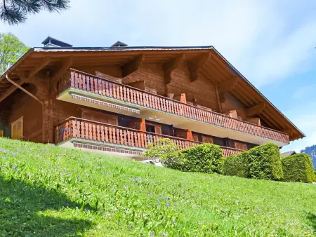 Chalet in Villars,Les Aiguilles d'Argent 10 CH1884.584.1 N°527117