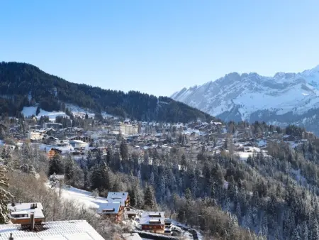 Ambassadeur 15, Appartement 4 personnes à Villars - Photo 40