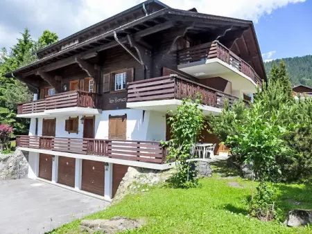 Chalet in Villars,Les Seracs 1 CH1884.819.1 N°32506