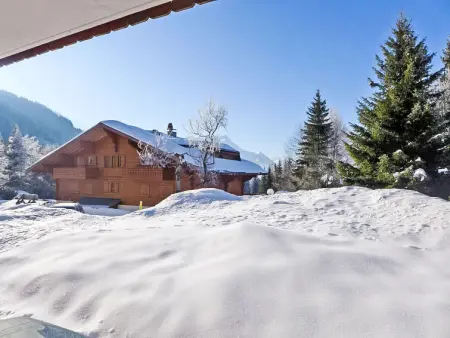 Aiguilles Dorées III/2, Chalet 4 personnes à Villars - Photo 29