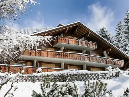 Sapin Bleu 6, Chalet 3 personnes à Villars - Photo 1