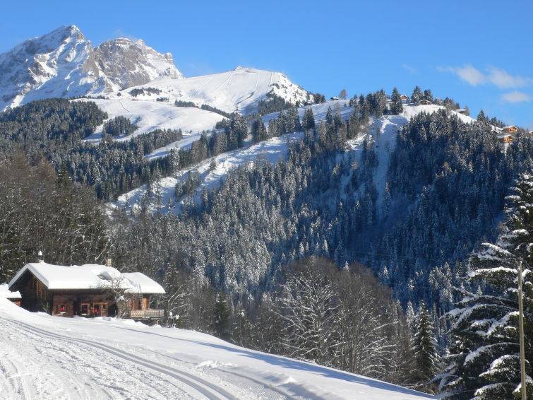 Le Mont Blanc 2, Location Chalet à Villars - Photo 18 / 21
