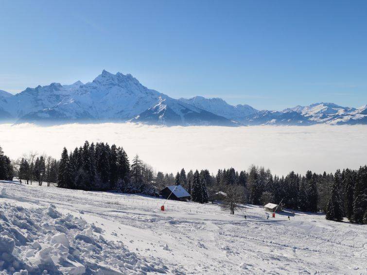 Le Mont Blanc 2, Location Chalet à Villars - Photo 19 / 19