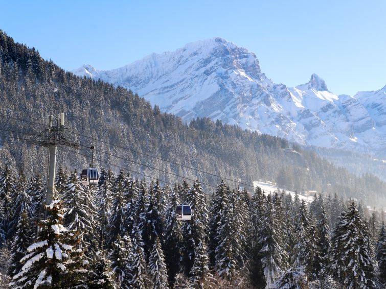 Le Mont Blanc 2, Location Chalet à Villars - Photo 21 / 21