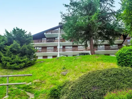 Butte aux Noëls 206, Appartement 4 personnes à Verbier - Photo 13