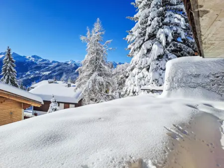 Orchidée 111, Appartement 4 personnes à Verbier - Photo 12