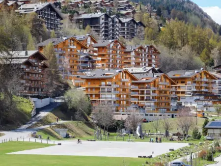 Domaine des Reines D3, Appartement 4 personnes à Nendaz - Photo 26
