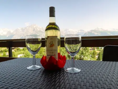 Derborence 28, Appartement 4 personnes à Nendaz - Photo 18